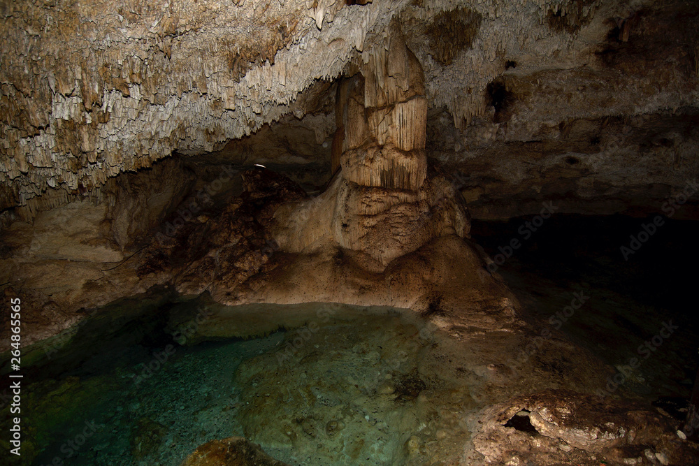 Interior of a cenote (underground river sinkhole) located in Hacienda Sotuta de Peon, Tecoh, Yucatan, Mexico.