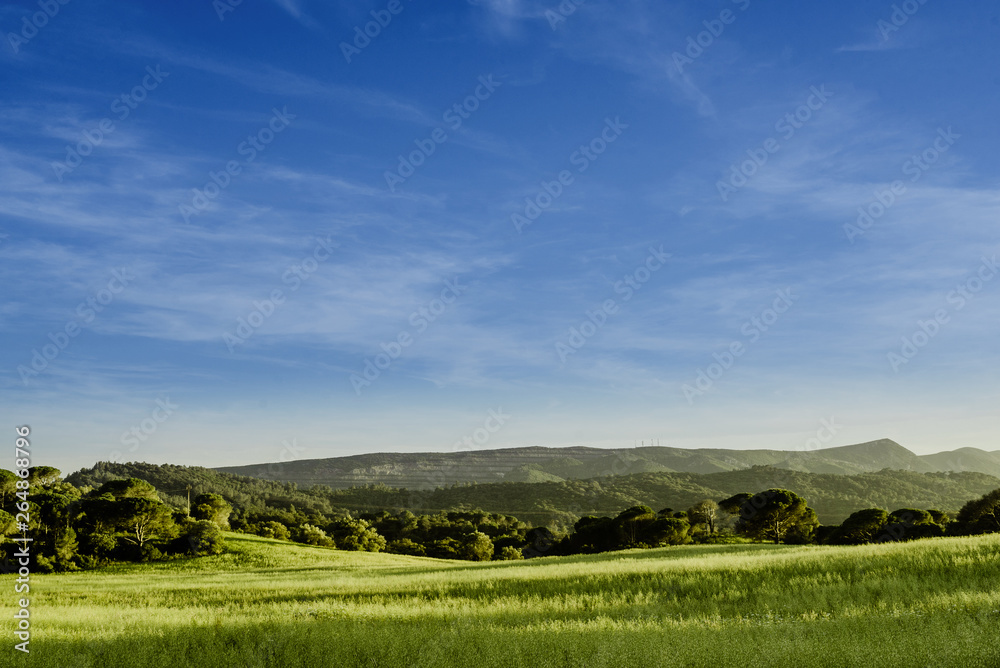 montanhas verdes com céu azul - paisagem do windows