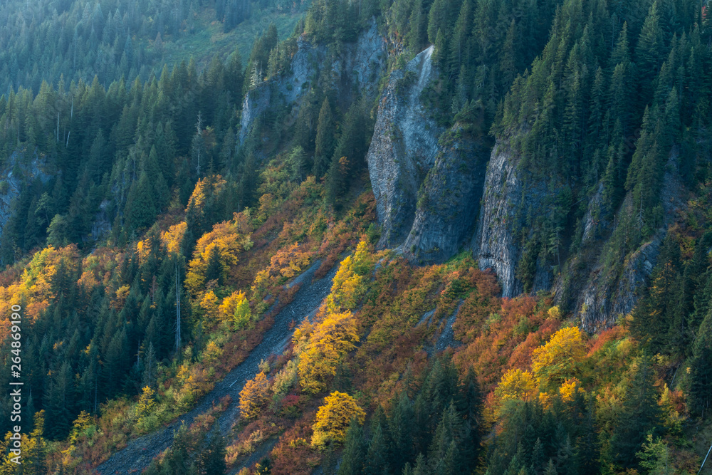 Fall Colors in Brush Along Granite Cliff Fall Colors in Brush Along Granite Cliff