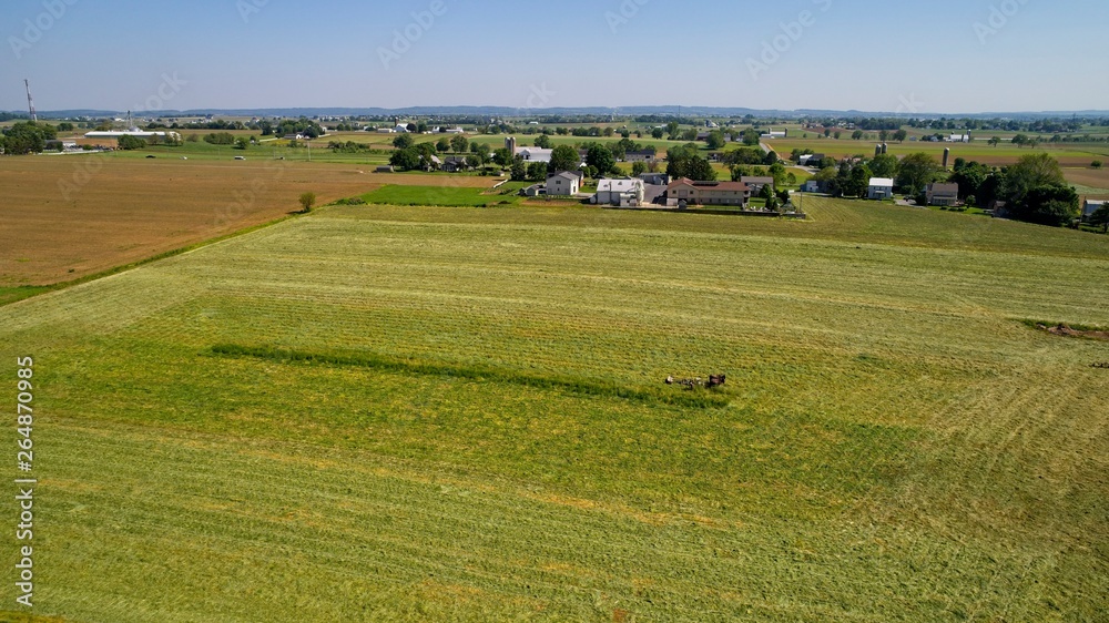 Aerial View of Amish Farmers Harvesting there Crops in Summer