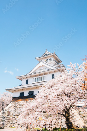Obraz na płótnie Nagahama castle with cherry blossoms in Shiga, japan w salonie