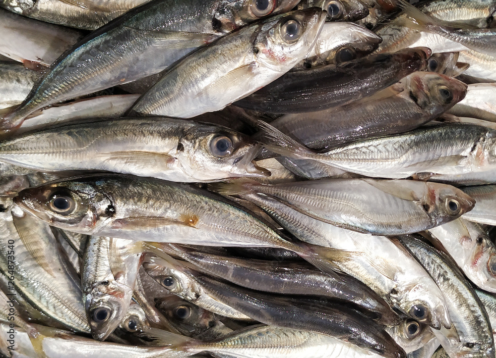 Fresh Portuguese sardines on ice in the fish market