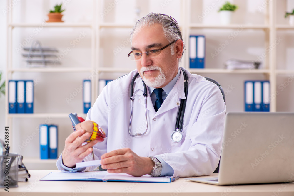 Aged male doctor cardiologist with heart model 