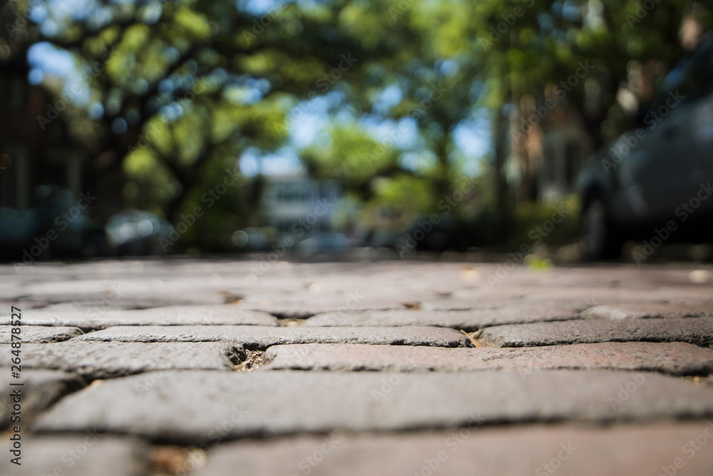 Cobbleston Steps of Historic Downtown Savannah, Georgia from a Low Street View Cobbleston Steps of Historic Downtown Savannah, Georgia from a Low Street View