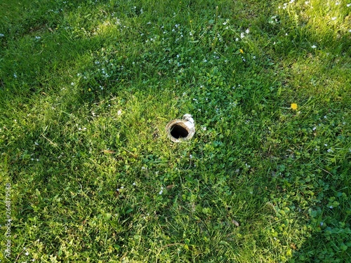 hole in metal pipe in green grass or lawn