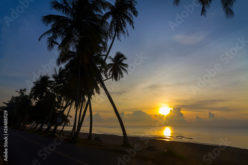 Sunrise idyllic with shadow of group coconut on beach