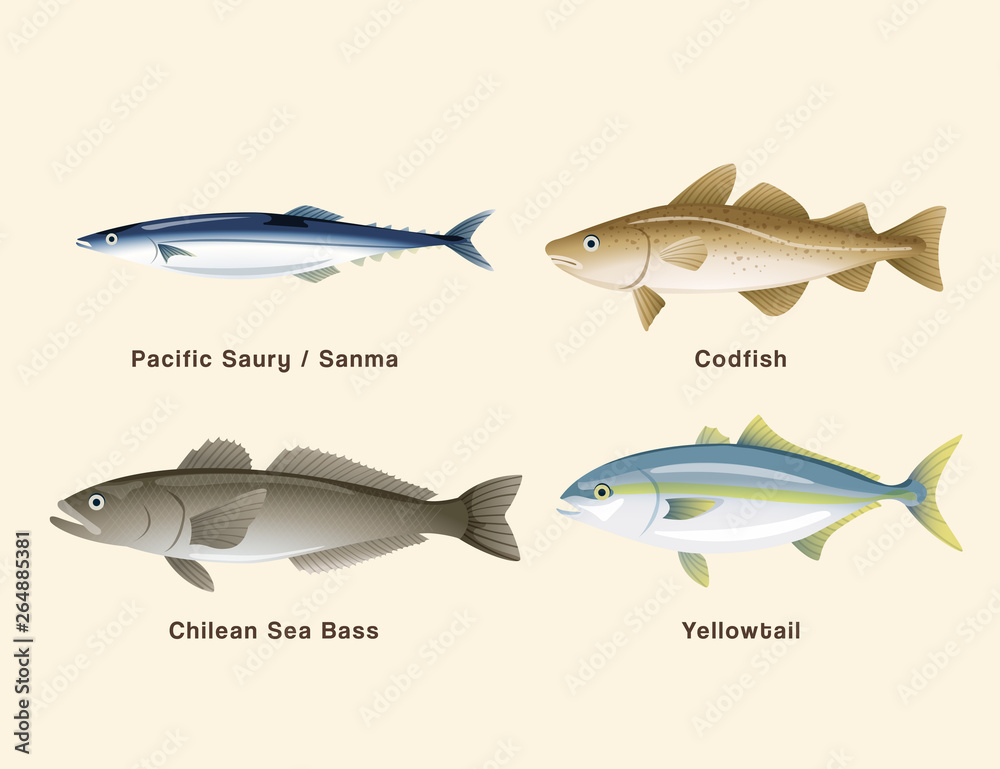 Fish and sushi set : Vector Illustration Fish and sushi set : Vector Illustration