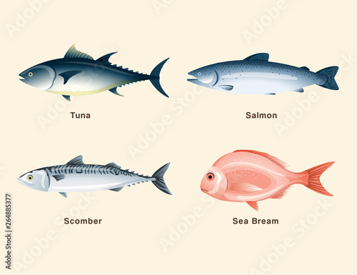 Fish and sushi set : Vector Illustration