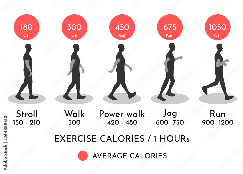 Comparing Calories burned exercise Stock Vector | Adobe Stock