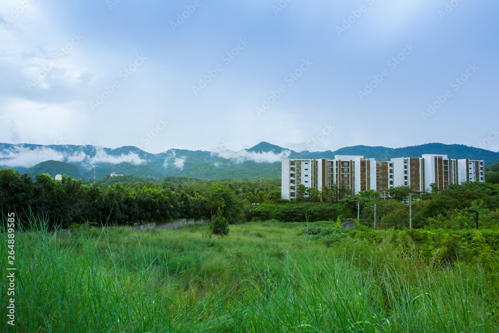 Hotel, Rainforest, Summer, Asia, Thailand