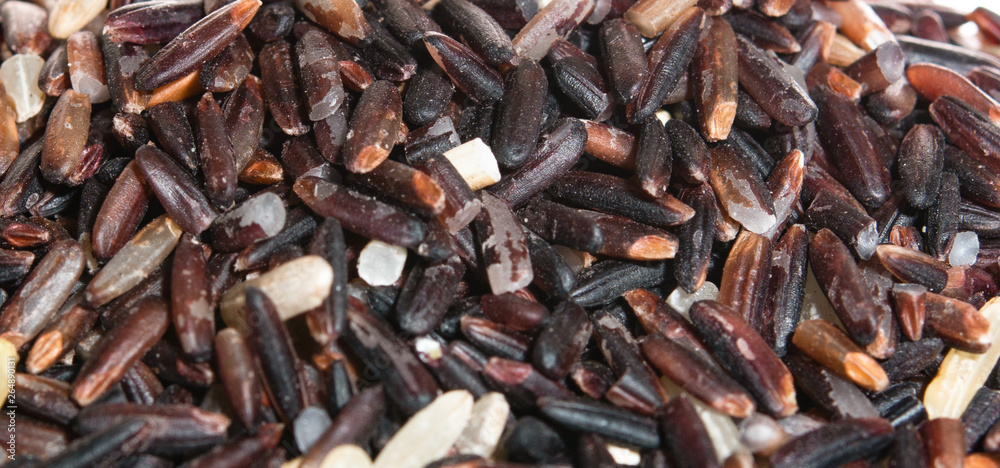 close-up riceberry organic food close-up riceberry organic food