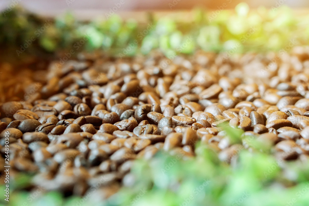 Obraz premium Closeup of roasted coffee beans on blurry green leafs and sun flare background