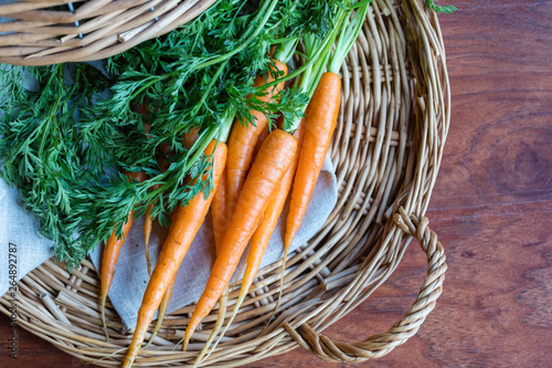 Young brightly orange carrots, fresh with green tops of vegetable, in a wicker basket. Spring harvest.