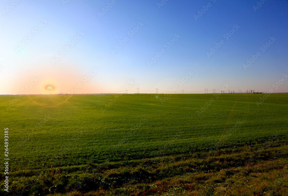 Beautiful landscape of agricultural fields of Russia. Rapeseed field in summer. Beautiful sunset.