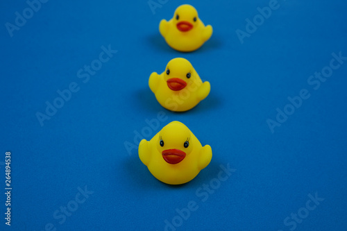 Yellow ducklings with isolated blue background.