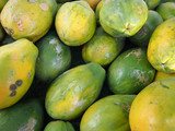 Close-up of Hawaiian papayas