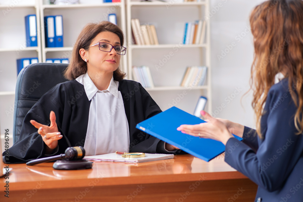 Young woman visiting female lawyer Young woman visiting female lawyer