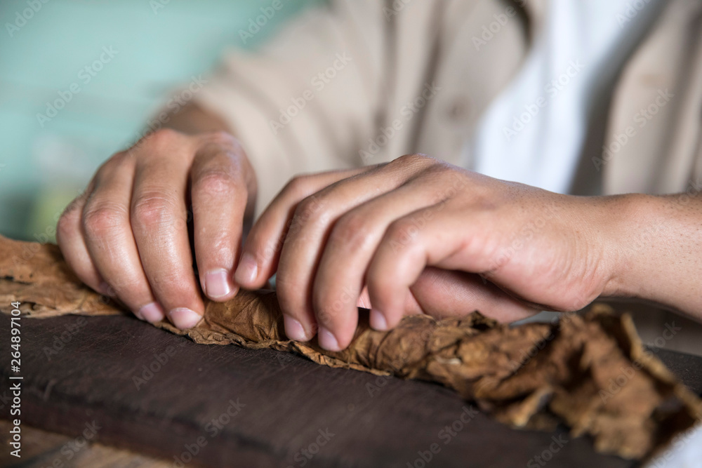 Making a Cuban cigar. Rolling the tobacco leaf with close-up of hands in Vinales Cuba.