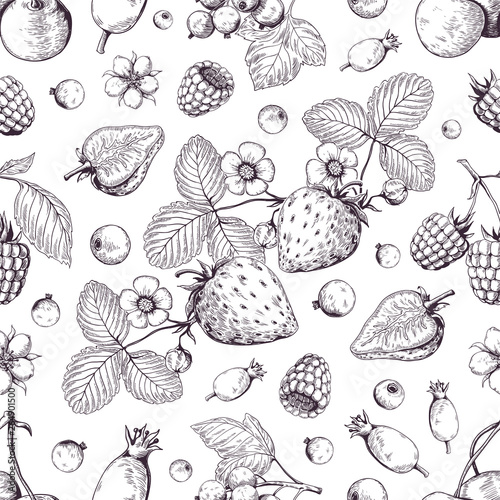 Hand drawn berries pattern. Vintage forest cherry strawberry blackberry cranberry sketch drawing. Vector dessert vintage menu background