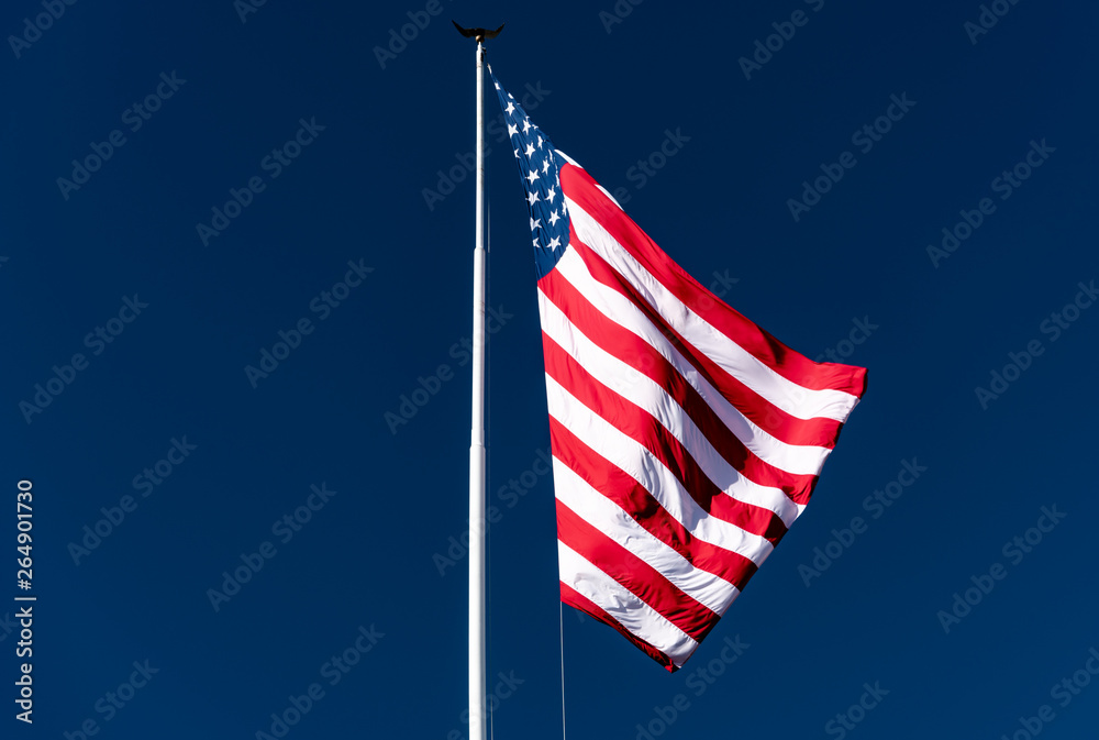 Fototapeta premium Flag of United States of America