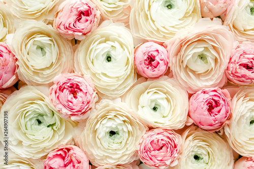 Bouquet  texture of pink ranunculus and rose flower buds close up. Flat lay  top view. Ranunculus flower texture. 