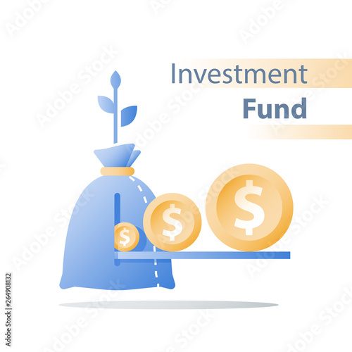 Income growth, invest fund, revenue increase, return on investment, long term wealth management, more money, high interest