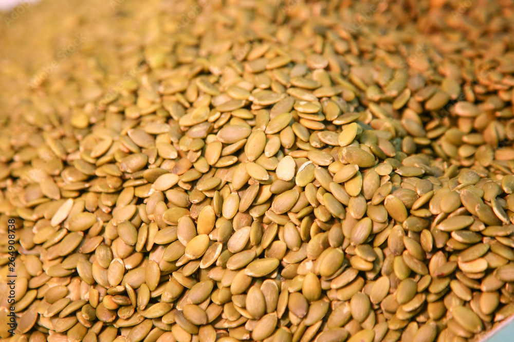 pumpkin seed pumpkin seed