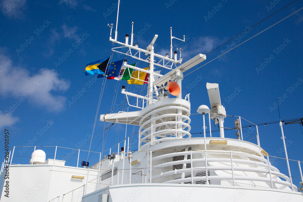 Naklejka premium Cruise ship