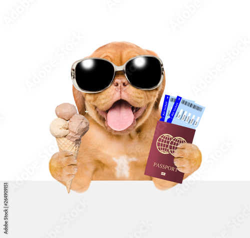 Funny puppy with sunglasses holds airline tickets, ice cream and passport above white banner. isolated on white background © Ermolaev Alexandr