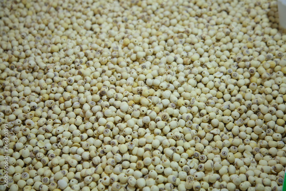 Lotus seed Lotus seed