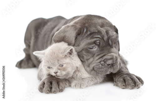 Sad black mastiff puppy embracing kitten. isolated on white background  Stock Photo | Adobe Stock