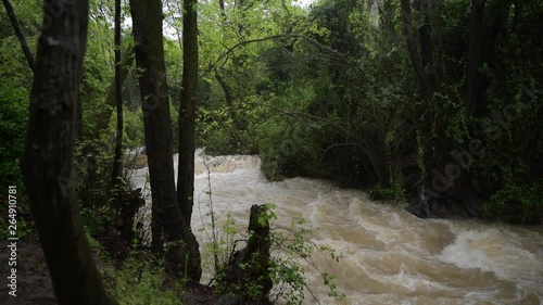waterfall near banias in the golan hight israel