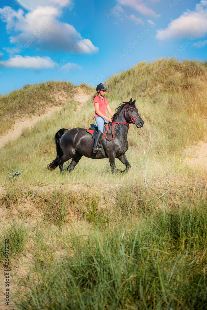 magnifique jeune femme et son cheval sur la plage magnifique jeune femme et son cheval sur la plage