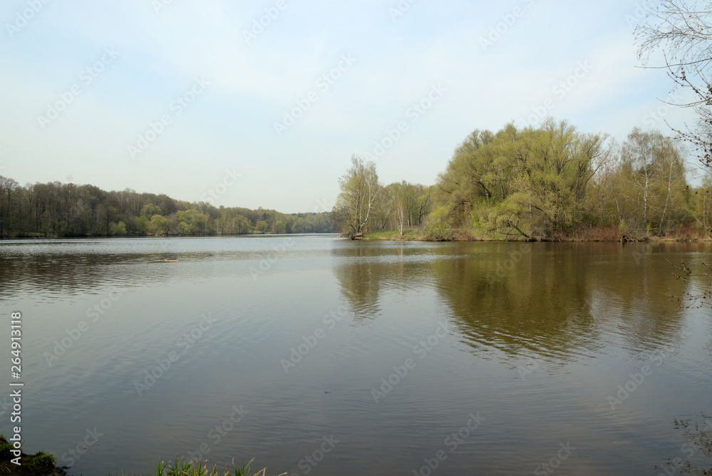 river bank in spring