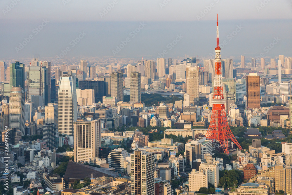 Obraz premium Panoramic aerial view on ultramodern busy capital city from a high skyscraper. Breathtaking cityscape seen on a summer day in Roppongi, Minato-ku district, Tokyo, Japan, Asia