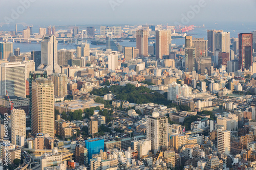 Panoramic aerial view on ultramodern busy capital city from a high skyscraper. Breathtaking cityscape seen on a summer day in Roppongi  Minato-ku district  Tokyo  Japan  Asia