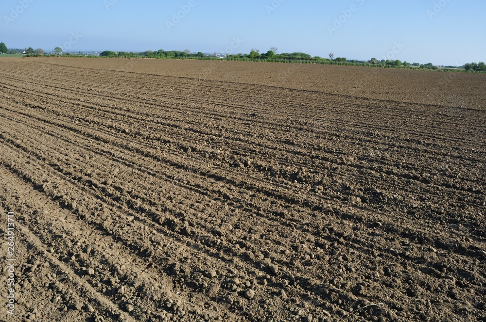 Ground after sown Ground after sown