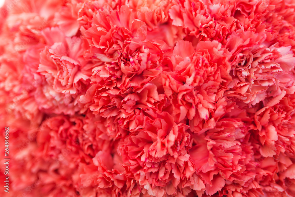 Beautiful festive bouquet close-up. Bright bouquet of red flowers as a gift. Beautiful festive bouquet close-up. Bright bouquet of red flowers as a gift.