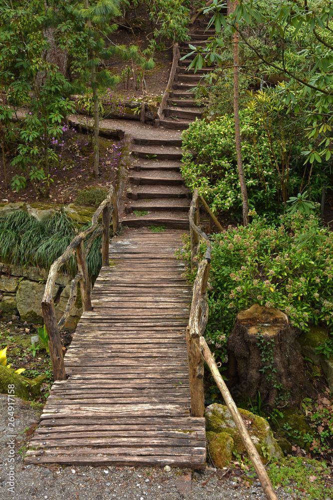 Brücken und Pfade im Botanischen Garten in Tübingen