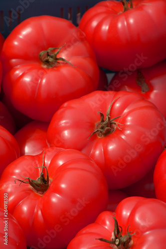 ripe and sweet tomatoes on outdoor market, big red beef tomatoes on a market in bavaria