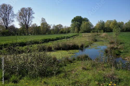 Renaturierungsgebiet Niersaue bei Grefrath Oedt am Niederrhein