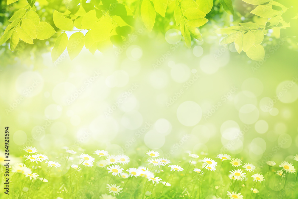 Spring or summer background, green leaves frame Spring or summer background, green leaves frame