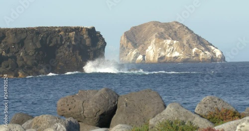 Galapagos Islands  photo