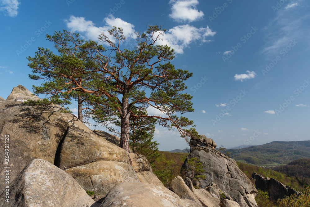 Warm weather is in the mountain forests of Ukrainian Carpathians on the rocks of the Dovbush