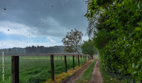 field track on a rural location on a stormy day © peter