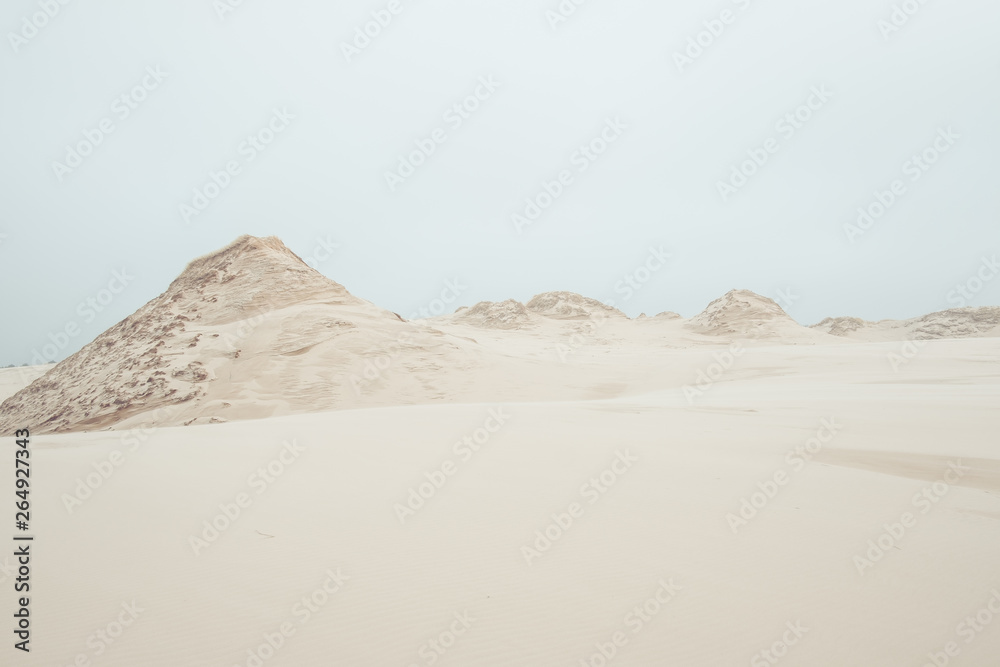 Fototapeta premium Szczyty pustynnych ruchomych wydm. Ruchome wydmy w Łebie