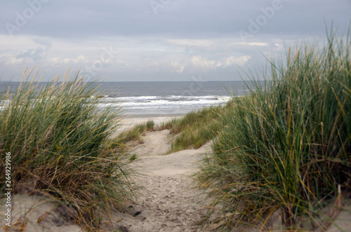 Fototapeta Naklejka Na Ścianę i Meble -  sand way to the North sea beach and beautiful sky, north sea, island langeoog