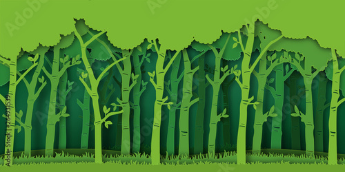 Paper art and digital craft style of Eco green nature background, forest plantation as ecology and environment conservation creative idea concept. Vector illustration.