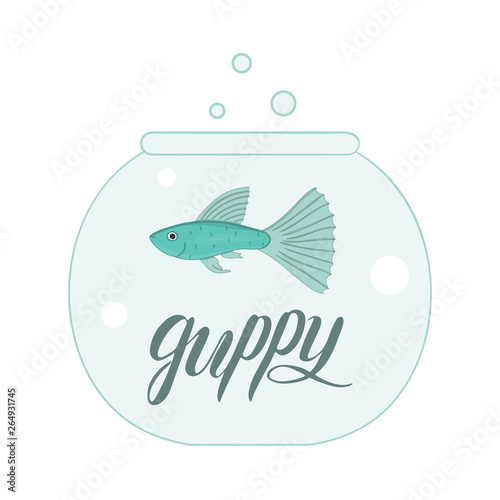 Vector colored illustration of fish in aquarium with fish name lettering. Cute picture of guppy for pet shops or children illustration photo