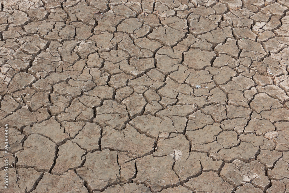 Drought, earth cracks, natural disaster Drought, earth cracks, natural disaster